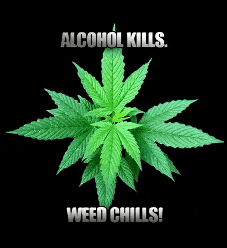 A Marijuana Leaf With The Words Alcohol Kills Weed Chills GIF