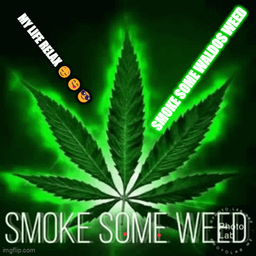 A Marijuana Leaf With The Words " Smoke Some Weed " On It GIF