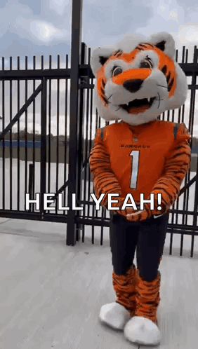 a mascot dressed as a tiger is standing in front of a fence and says `` hell yeah '' .