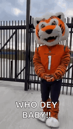 A Mascot Dressed As A Tiger Is Standing In Front Of A Fence And Says `` Who Dey Baby '' . GIF
