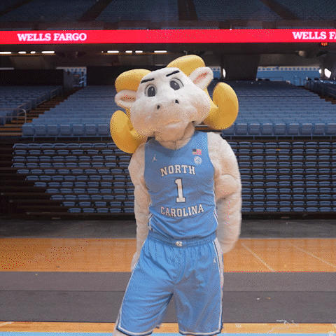 a mascot for north carolina is standing in front of an empty stadium