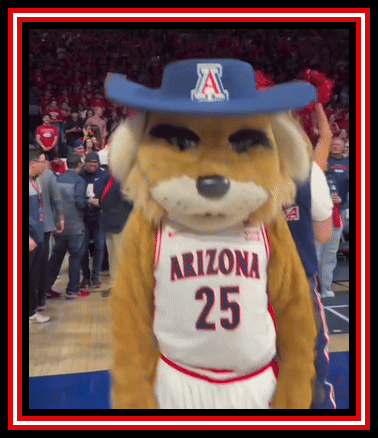 a mascot for the arizona basketball team is wearing a blue cowboy hat