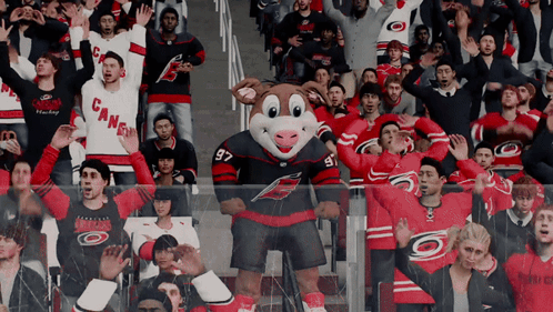 A Mascot For The Carolina Hurricanes Stands In Front Of A Crowd Of Fans GIF