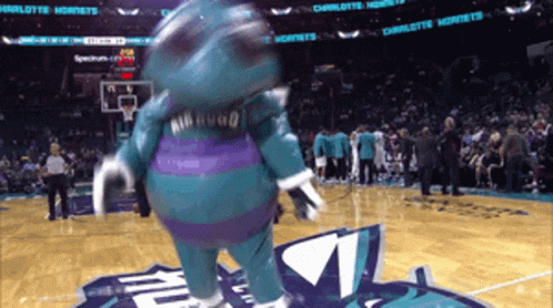 A Mascot For The Charlotte Hornets Stands On The Court GIF