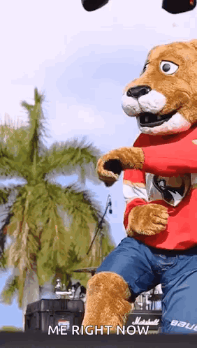 A Mascot For The Florida Panthers Is Dancing On A Stage GIF