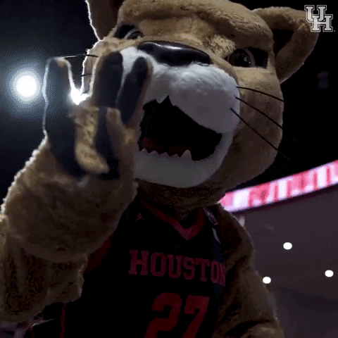 A Mascot For The Houston Basketball Team Is Pointing GIF
