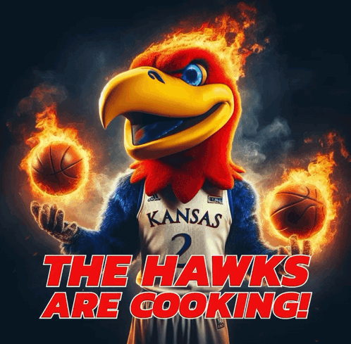 A Mascot For The Kansas Hawks Is Holding A Basketball GIF