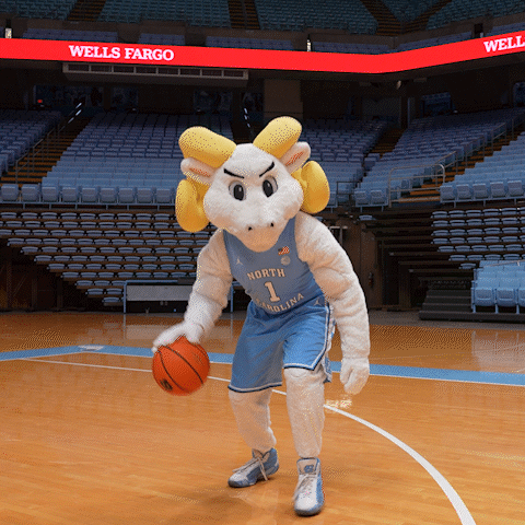 a mascot for the north carolina team is holding a basketball