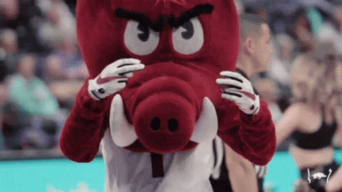 A Mascot For The University Of Arkansas Wearing Gloves GIF