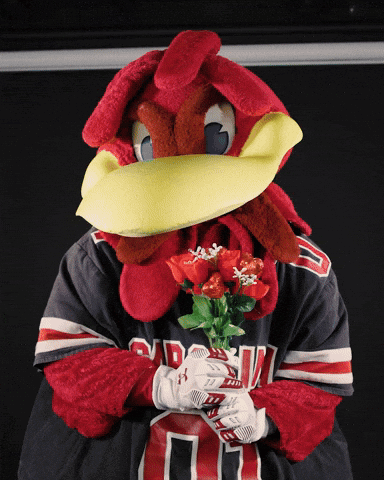 A Mascot Holding A Bouquet Of Red Roses And Wearing A Shirt That Says Devils GIF