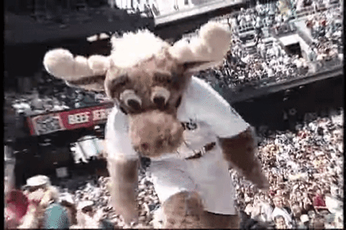A Mascot In A Moose Costume Is Jumping In The Air In Front Of A Crowd . GIF