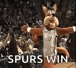 A Mascot Is Standing On A Basketball Court With The Words `` Spurs Win '' Written On It . GIF