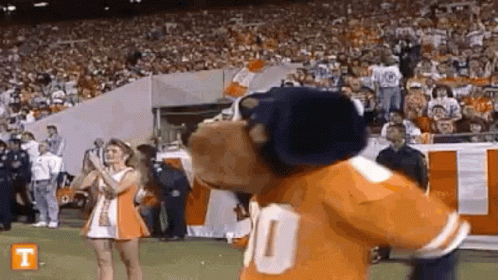A Mascot Is Standing On A Football Field With A Cheerleader . GIF