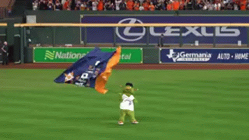 A Mascot Is Waving A Champions Flag On A Baseball Field GIF