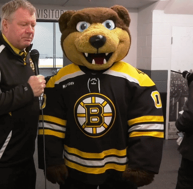 A Mascot Wearing A Black And Yellow Jersey With The Letter B On The Front GIF