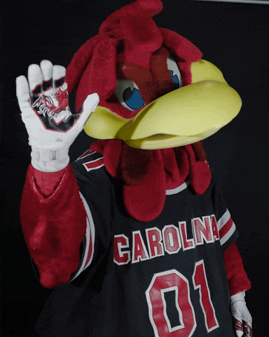 A Mascot Wearing A Carolina 01 Jersey And Gloves GIF