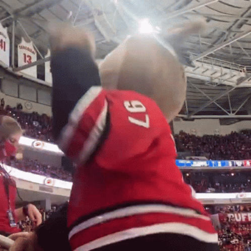 A Mascot Wearing A Jersey With 97 On It GIF