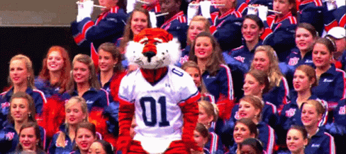 A Mascot Wearing A Jersey With The Number 01 GIF