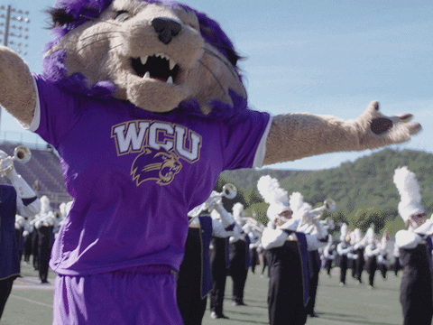 A Mascot Wearing A Purple Wcu Shirt Stands In Front Of A Marching Band GIF