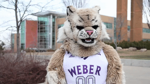 a mascot wearing a weber jersey with the number 00 on it