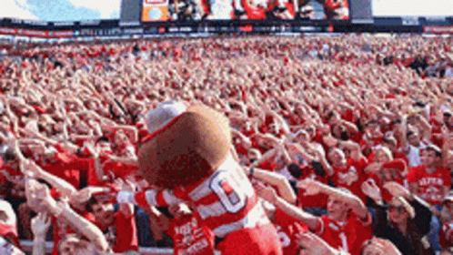 A Mascot With The Number 60 On His Shirt Is Being Held Up By A Crowd Of People GIF