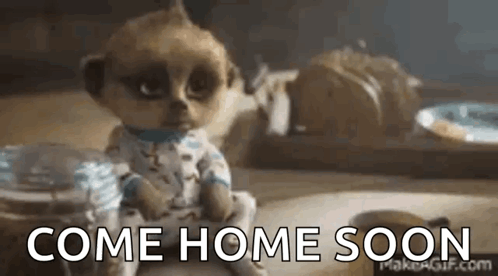 A Meerkat Doll Is Sitting On A Table And Says `` Come Home Soon '' . GIF