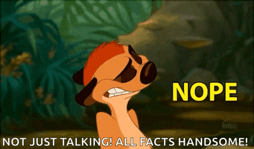 A Meerkat From The Lion King Is Saying Nope GIF