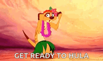 A Meerkat From The Lion King Is Wearing A Hula Skirt And A Lei And Is Ready To Hula . GIF