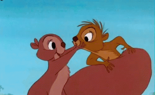 A Meerkat Is Kissing Another Meerkat On The Cheek . GIF