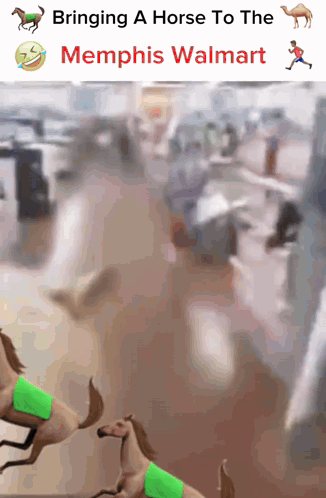 a meme about bringing a horse to the memphis walmart