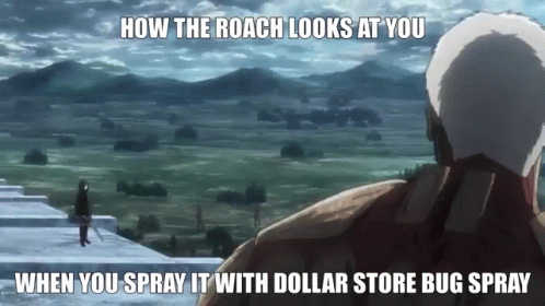 A Meme About How The Roach Looks At You When You Spray It With A Dollar Store Bug Spray GIF