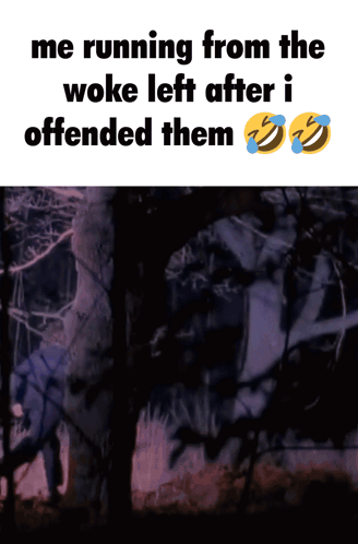 A Meme Of A Person Running From The Woke Left After I Offended Them GIF