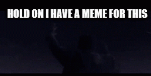 A Meme That Says Hold On I Have A Meme For This On It GIF