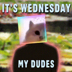 A Meme That Says It 'S Wednesday My Dudes With A Cat On Top GIF