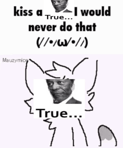 A Meme That Says Kiss A True I Would Never Do That True GIF