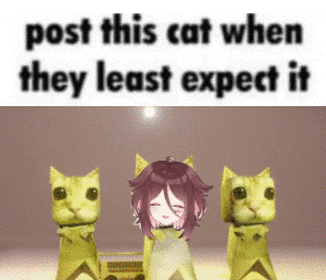 A Meme That Says Post This Cat When They Least Expect It On It GIF