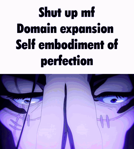 A Meme That Says Shut Up Mf Domain Expansion Self Embodiment Of Perfection On It GIF