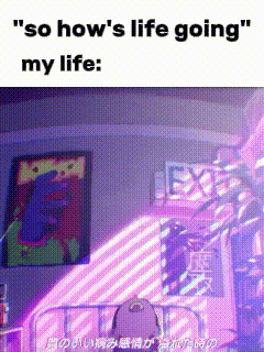 A Meme That Says ' So How 'S Life Going ' On It GIF