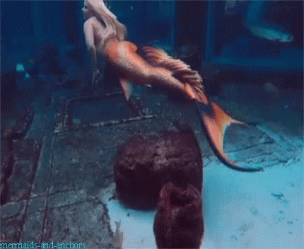 A Mermaid Is Swimming In A Pool With The Words Mermaids And Anchors Written On The Bottom GIF