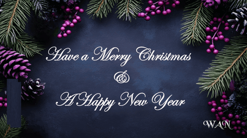 A Merry Christmas And A Happy New Year Card With Pine Cones And Berries GIF