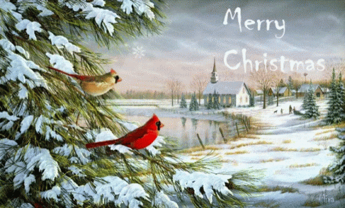 a merry christmas card with two cardinals in a snowy scene