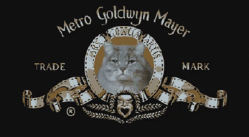 A Metro Goldwyn Mayer Logo With A Cat Yawning GIF