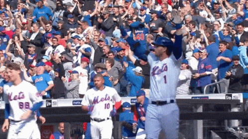 A Mets Baseball Player Stands In Front Of A Crowd With His Arms In The Air GIF