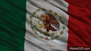 A Mexican Flag With An Eagle On It Is Waving In The Wind GIF
