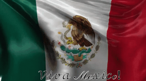 A Mexican Flag With The Words Viva Mexico Written On It GIF