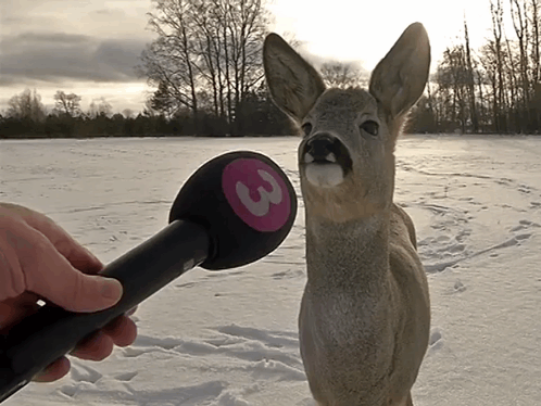 A Microphone With The Number 3 On It GIF