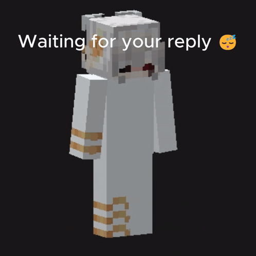 A Minecraft Character Is Waiting For A Reply From Someone GIF