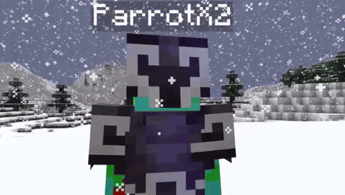 a minecraft character named parrotx2 is standing in a snowy area