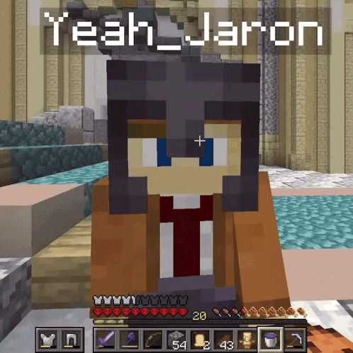 A Minecraft Character With The Name Yeah_jaron GIF