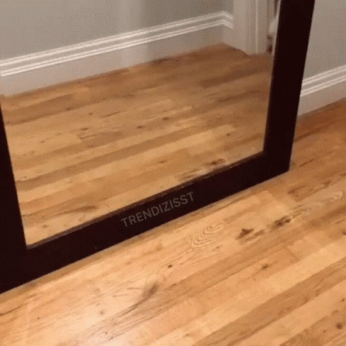 A Mirror On A Wooden Floor Has The Word Trendizisst Written On It GIF